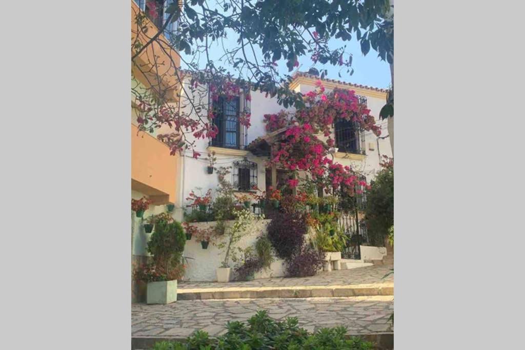 Appartement Palmeras Puerto Paraiso Estepona Bagian luar foto